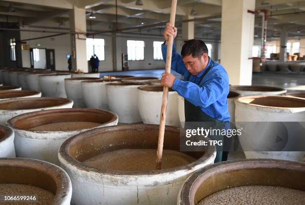 Chinese traditional Shaoxing wine "Maiden Rose" started to make in winter on 29 November 2018 in Shaoxing,Zhejiang, China.