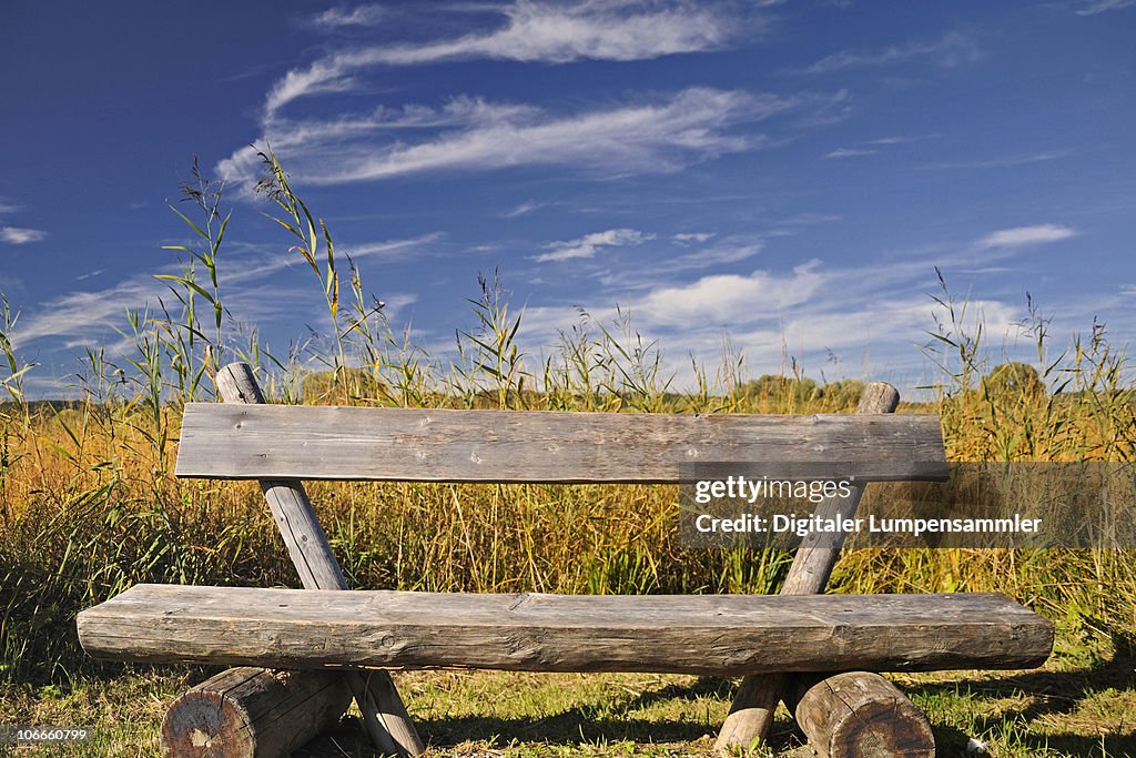 Autumn Bench