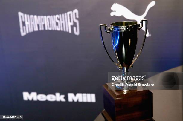 View of trophy during Meek Mill and PUMA celebrate CHAMPIONSHIPS album release party at PHD at the Dream Downtown on November 29, 2018 in New York...