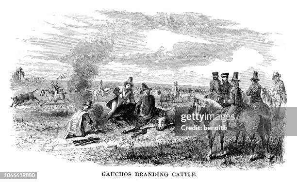 gauchos branding cattle - argentina gaucho stock illustrations
