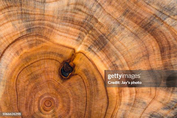 wood pattern - natural history stock pictures, royalty-free photos & images