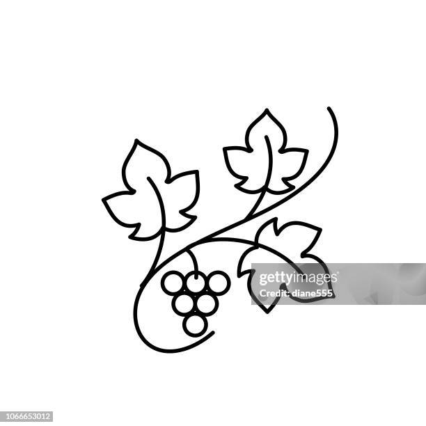 1 6点のぶどう つるイラスト素材 Getty Images 1 6点のぶどう つるイラスト素材 Getty Images