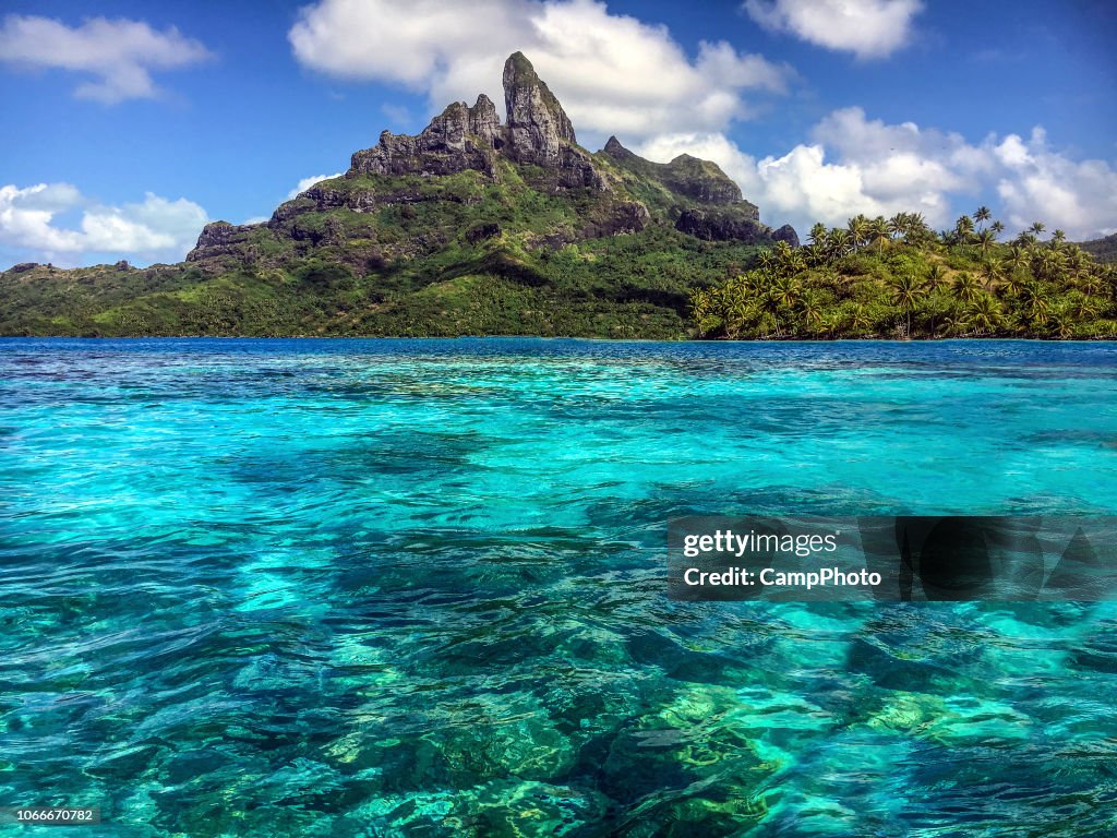 Bora Bora lagoon and coral