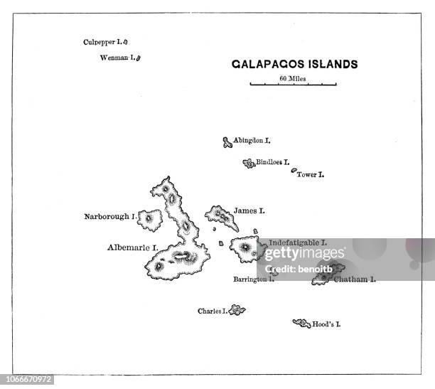 ilustrações de stock, clip art, desenhos animados e ícones de galapagos islands map - galapagos islands