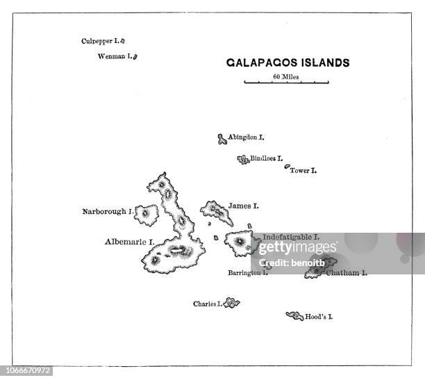 galapagos islands map - galapagos stock illustrations
