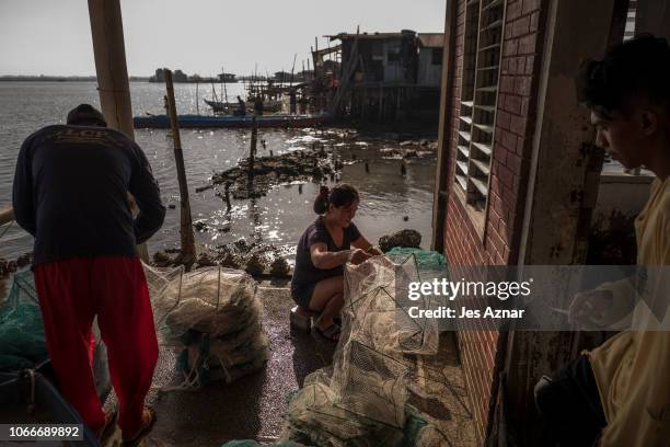 The Manalaysay family preparing their nets to catch crabs on November 26, 2018 in Bulacan, north of Manila. Before when there was no water in our...