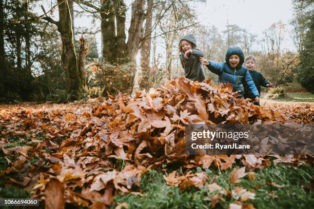 children playing in autumn leaves - playful kids stock pictures, royalty-free photos & images