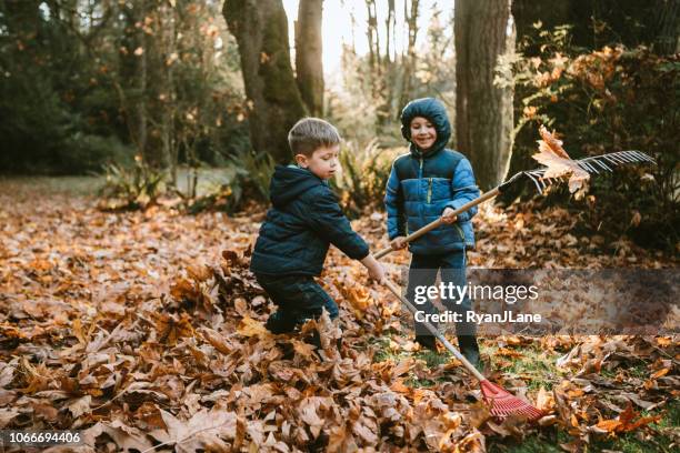 boys raking up autumn leaves - jacket stock pictures, royalty-free photos & images