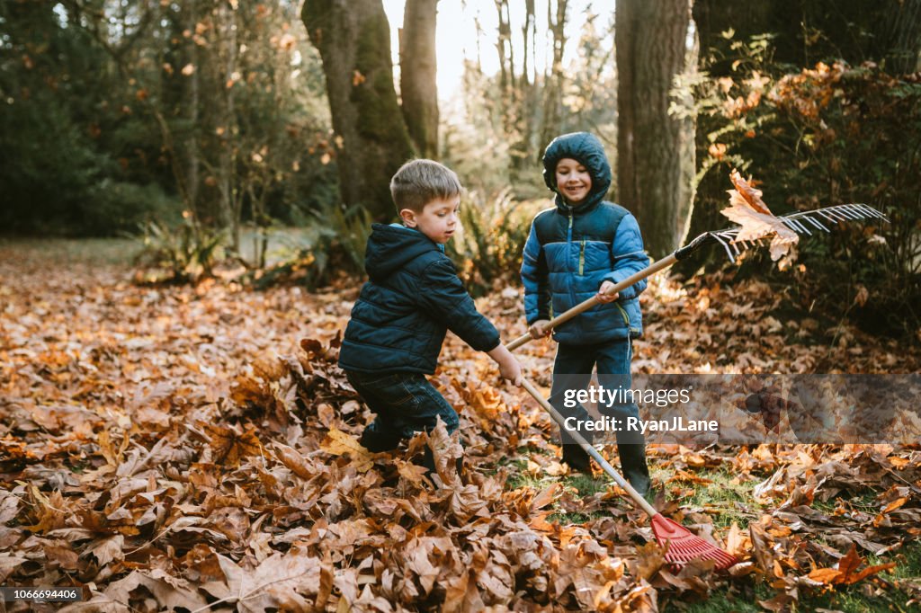 Boys Raking Up Autumn Leaves
