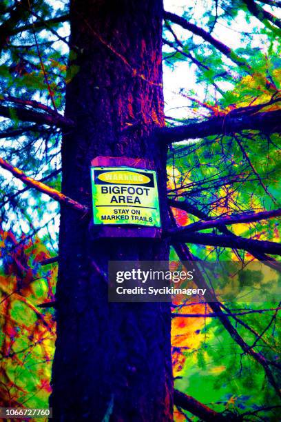 sign on tree reading: warning bigfoot area - bigfoot stock pictures, royalty-free photos & images