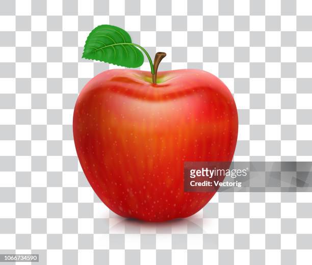 stockillustraties, clipart, cartoons en iconen met rode appel - apple