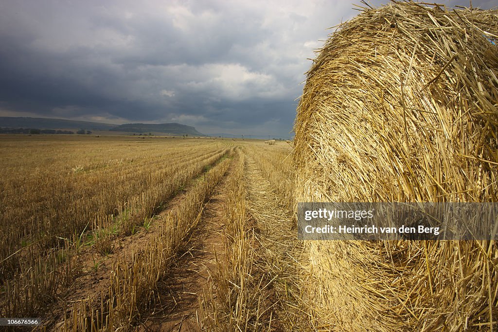 Straw bale in field, Free State Province, South Africa