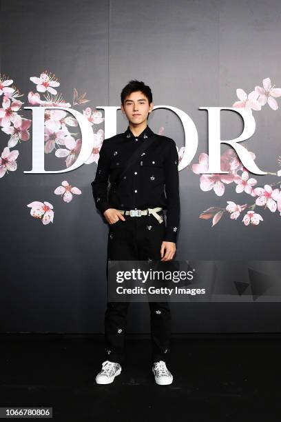 Arthur Chen attends the photocall at the Dior Pre Fall 2019 Men's Collection on November 30, 2018 in Tokyo, Japan.