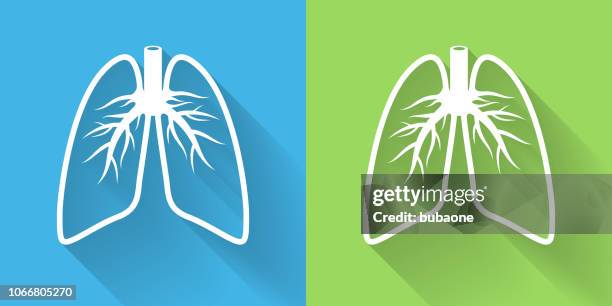 lungs icon with long shadow - lung stock illustrations