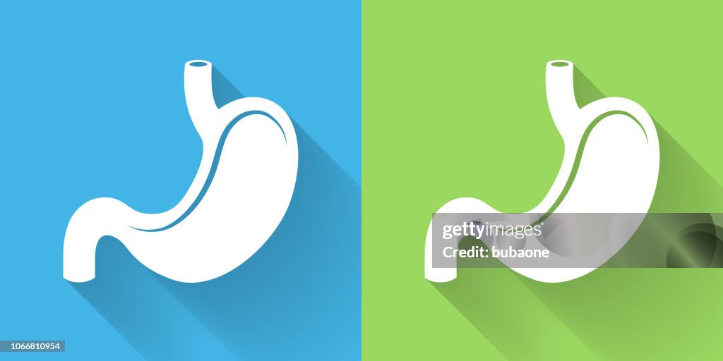 Stomach Icon with Long Shadow