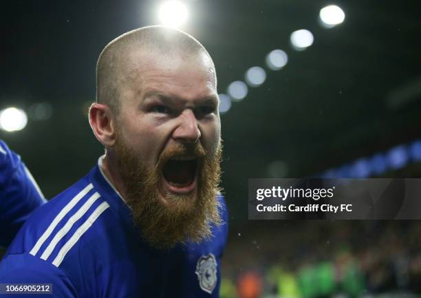 Aron Gunnarsson celebrates scoring the first goal for Cardiff City during the Premier League match between Cardiff City and Wolverhampton Wanderers...