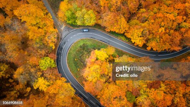 road through autumnal forest - aerial view - autumn car stock pictures, royalty-free photos & images