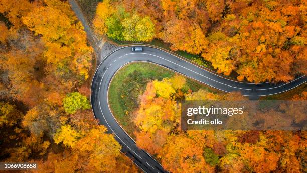 road through autumnal forest - aerial view - orange car stock pictures, royalty-free photos & images