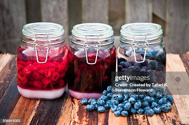 berry flavored vodkas - ypsilanti stock pictures, royalty-free photos & images