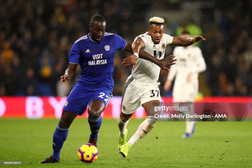 Cardiff City v Wolverhampton Wanderers - Premier League