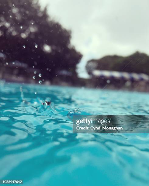 Large Pool Drop 696 Rain Drops In Pool Stock Photos, High-Res Pictures, and Images ...