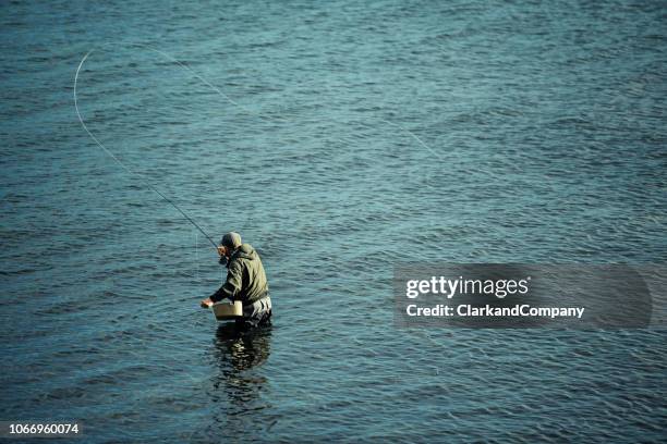 portrait of a fly fisherman looking for sea trout - wading boots stock pictures, royalty-free photos & images