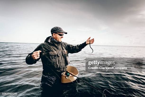 fly fisherman fishing in the baltic sea in denmark - waders imagens e fotografias de stock