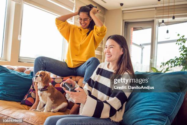 friends having fun playing games - king charles spaniel stock pictures, royalty-free photos & images