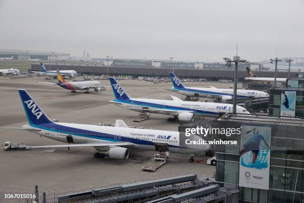 tokyo internationella flygplats i japan - tokyo international airport bildbanksfoton och bilder