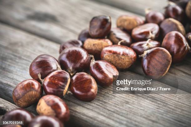 autumn chestnuts - marrone foto e immagini stock