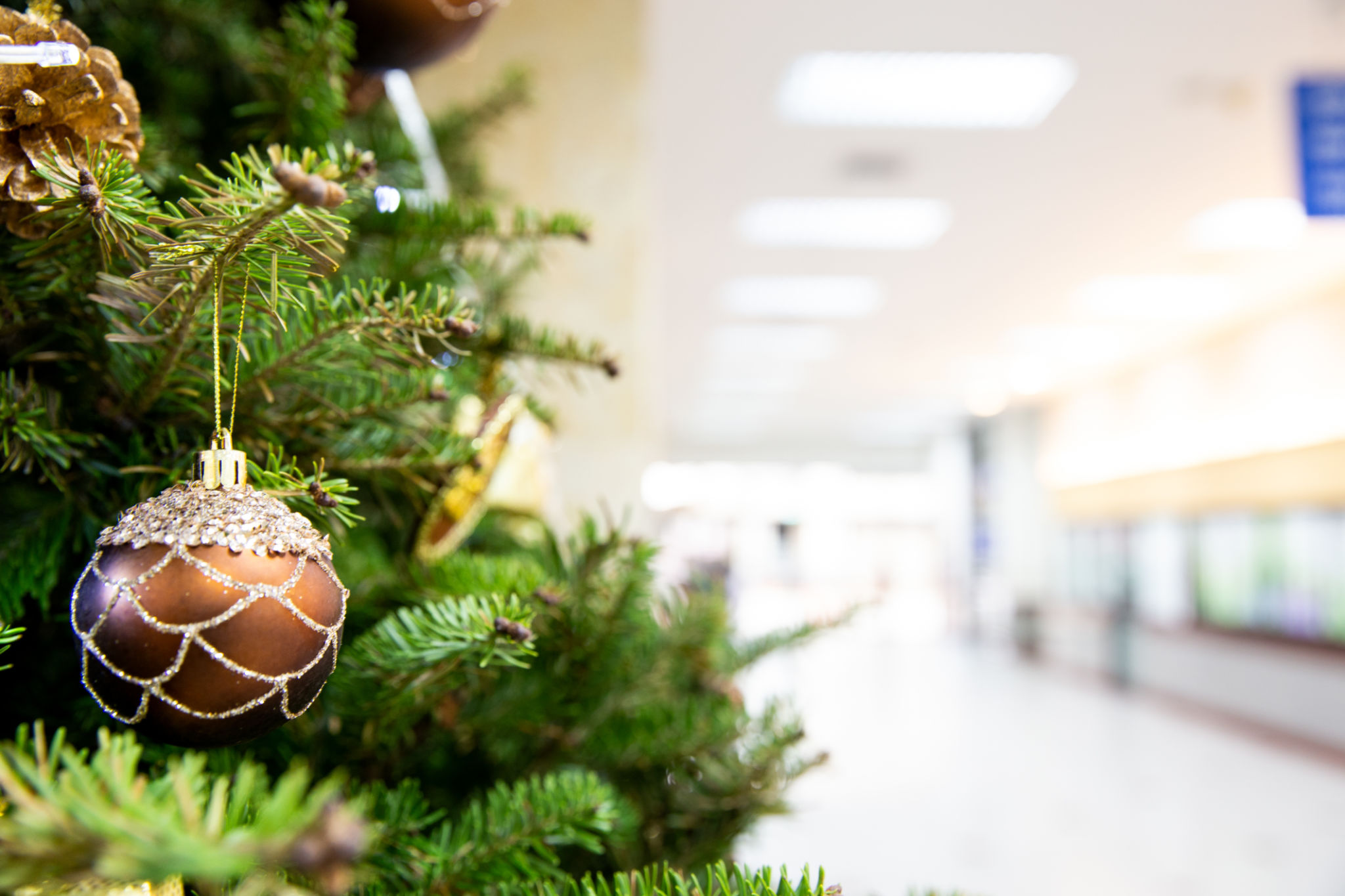 hospital christmas