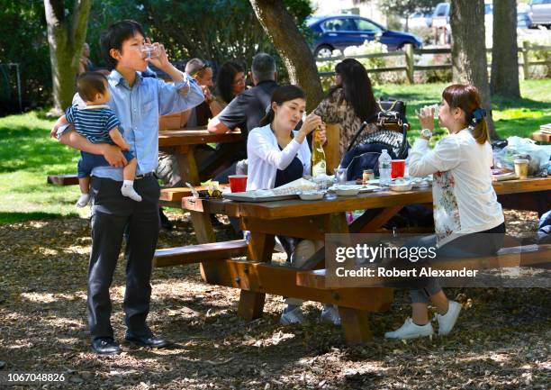 Chinese tourists enjoy lunch with wine at V. Sattui Winery in St. Helena, California, in the state's famous Napa Valley region.