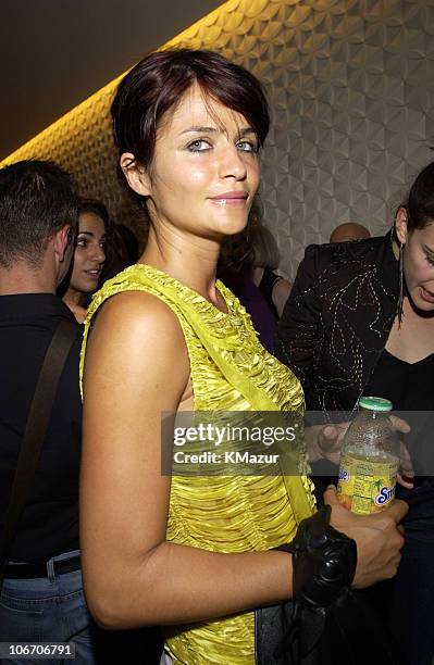 Helena Christensen during Mercedes Benz Fashion Week 2003 - Opening of the First Stella McCartney Store Worldwide at Stella McCartney Store in New...