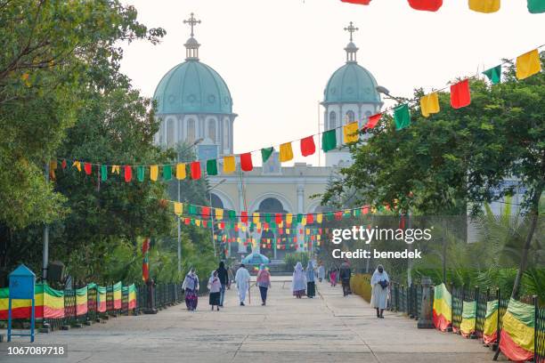 medhane alem cathedral i addis abeba etiopien - addis abeba bildbanksfoton och bilder