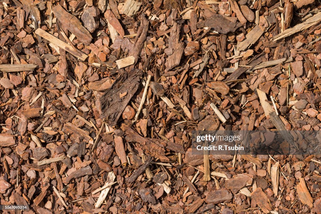 Mulch wood bark material seamless texture background