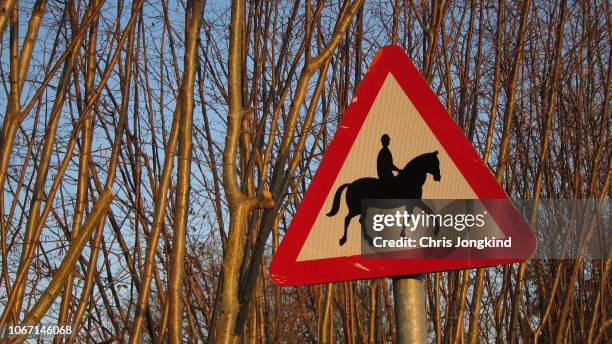 horseback riding crossing sign - montar a caballo por placer fotografías e imágenes de stock