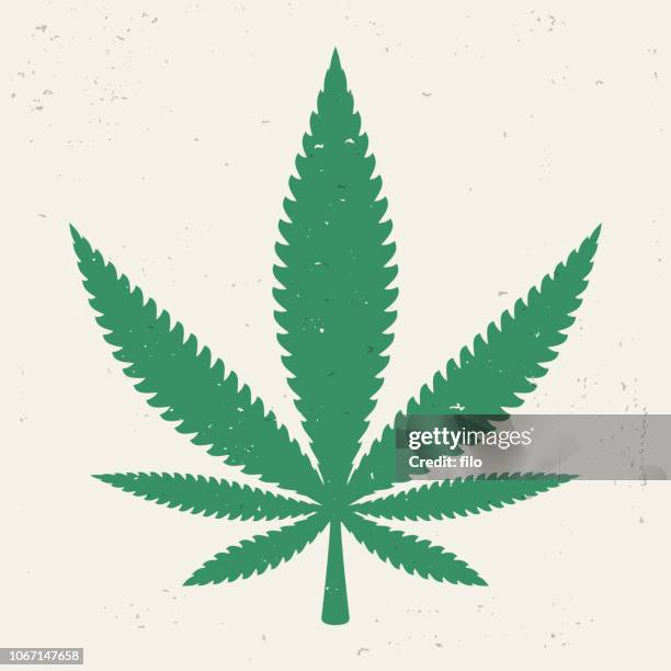 stockillustraties, clipart, cartoons en iconen met wiet pot marihuanablad - cannabis leaf