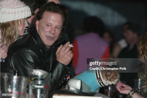 Beck Rourke 224 Hannah Beck Photos & High Res Pictures - Getty Images