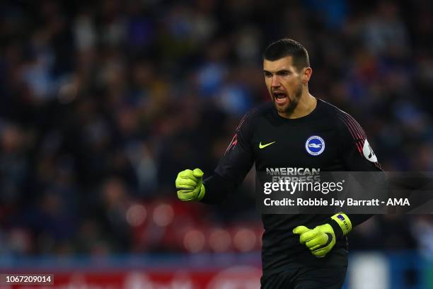 Matthew Ryan of Brighton and Hove Albion celebrates during the Premier League match between Huddersfield Town and Brighton & Hove Albion at John...