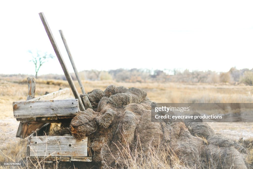 Hay Stack and Wooden Feed Mangers Rural Backgrounds and Surfaces and Outdoor Textures Western Colorado