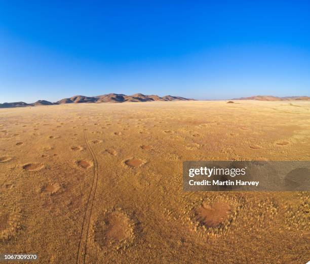 high aerial view of the famous fairy circles in the namib desert,namibia - namib desert stock pictures, royalty-free photos & images