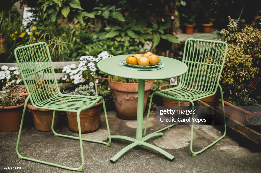 Green garden furniture in a small garden.