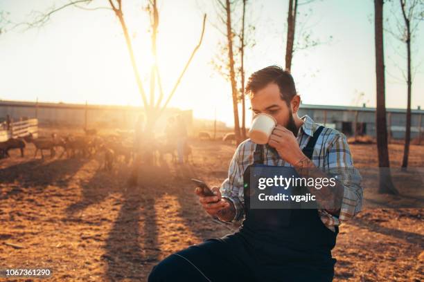 goat farm - dairy farmer stock pictures, royalty-free photos & images