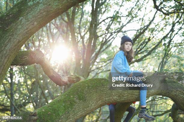 young girl climbing an oak tree - girl tree foto e immagini stock