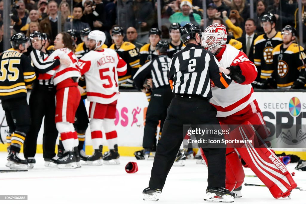 NHL: DEC 01 Red Wings at Bruins