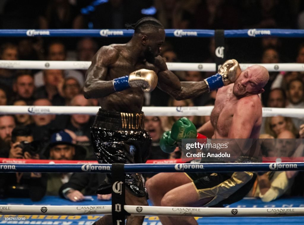 WBC Heavyweight Championship in California