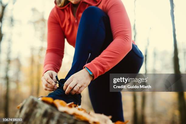 woman fixing her shoelaces before jogging. - tiersport stock pictures, royalty-free photos & images