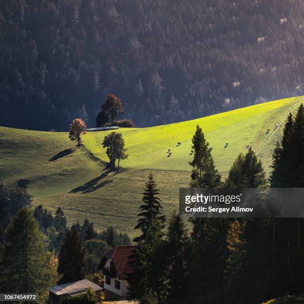 landscape of tranquil pasture in european alps - maribor slovenia stock pictures, royalty-free photos & images