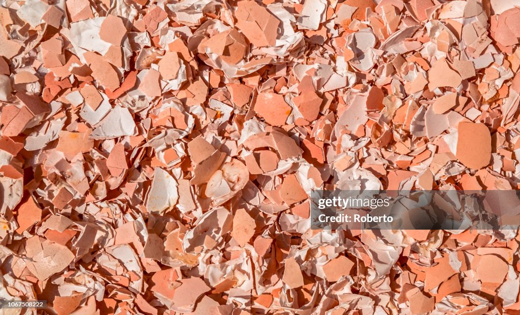 Image of crushed egg shells