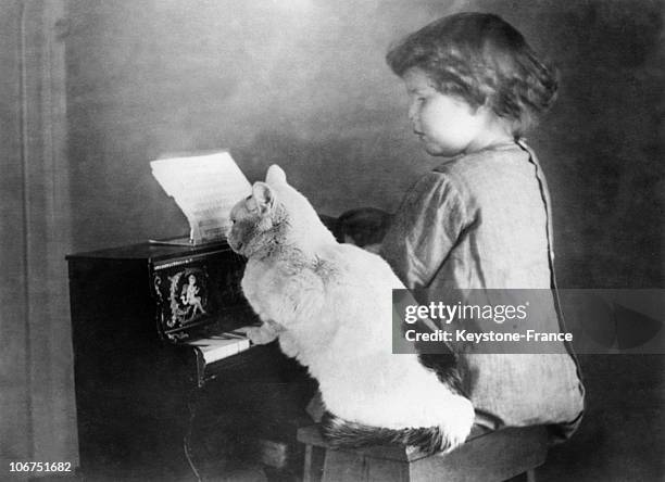 Little Girl And A Cat Playing The Piano. Seated On A Small Bench, The Cat Also Seems To Be Looking At The Score, Around 1930-1960.